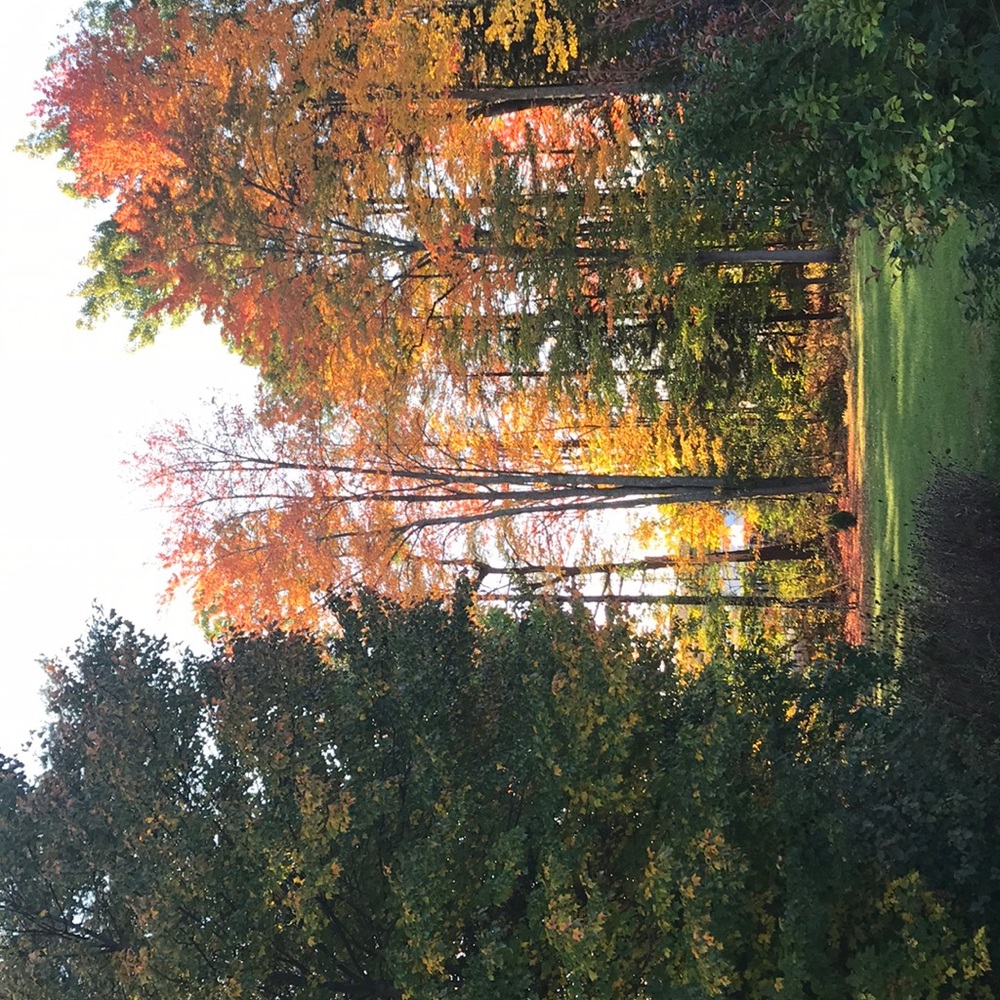 Meet your Posher, Donna